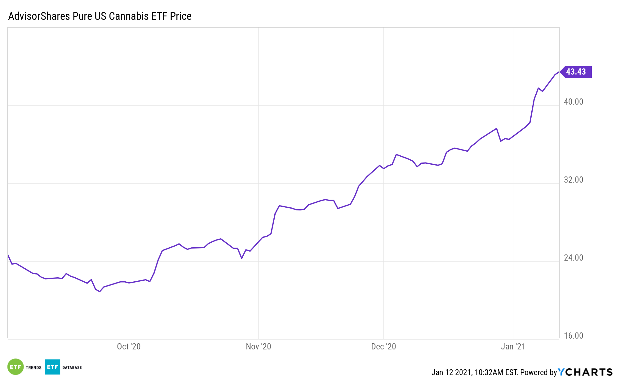 MSOS 1 Year Performance